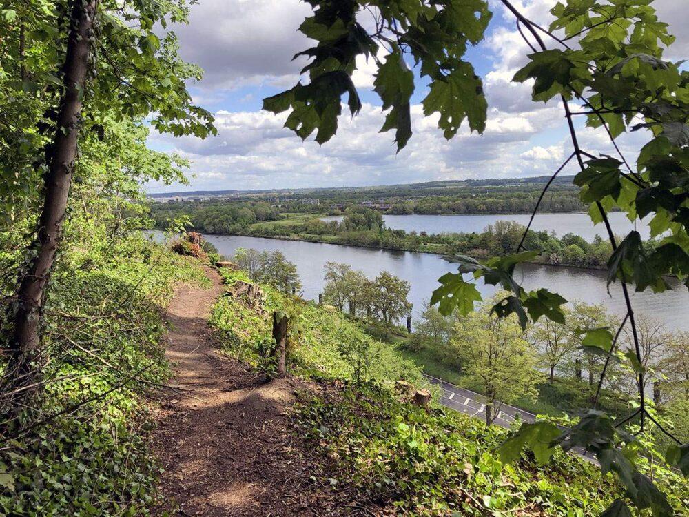 Wandelen: Kennemer Mountain Trail, ca. 12 km