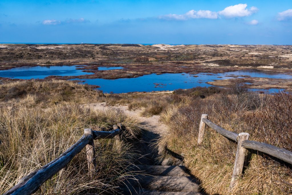 Wandeling vanaf het Duincafé, 10 km