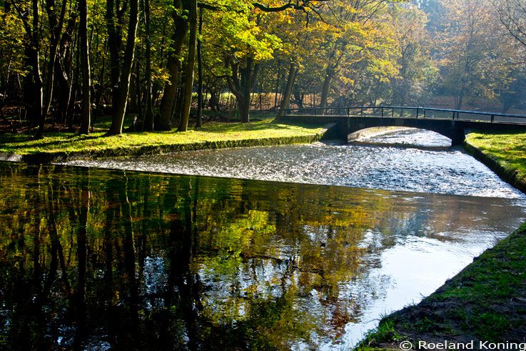 Zondag 20 juli wandeling door de Waterleidingduinen, 20 km