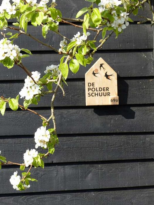 een verrassende wandeling met bezoek aan Polderschuur en zorgboerderij, ca 11 km