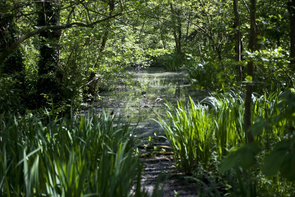 Gevarieerde wandeling langs enkele highlights van Bloemendaal, ca 10 km