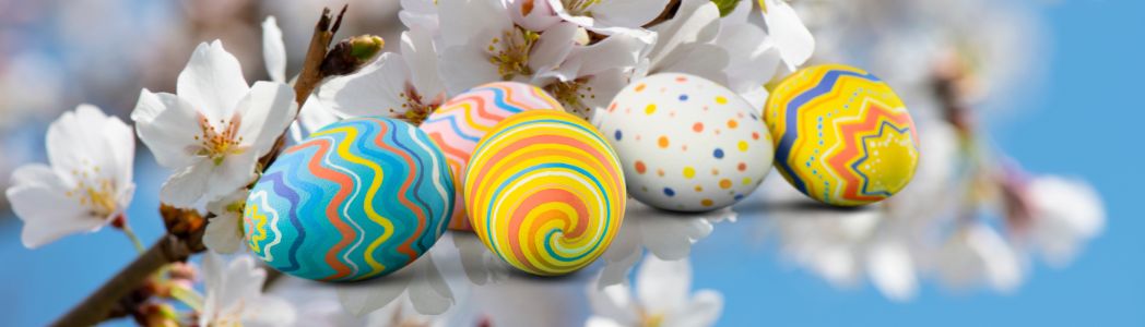  Nivon Zuid-Kennemerland 