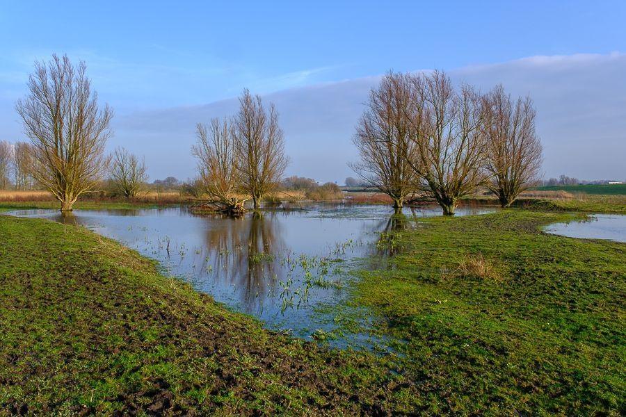 Wandeling Geuzenhout vanaf Halfweg, 9 km