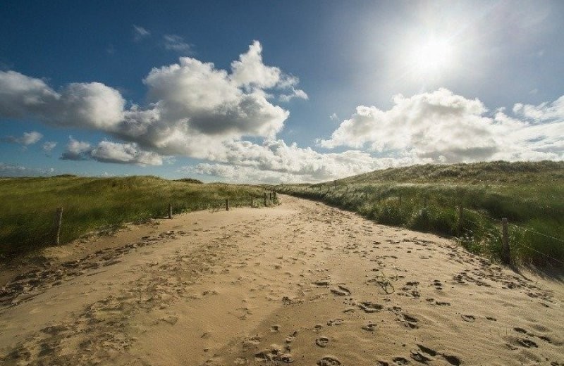 Wandelrondje om de Zuidduinen bij Zandvoort, 10 km